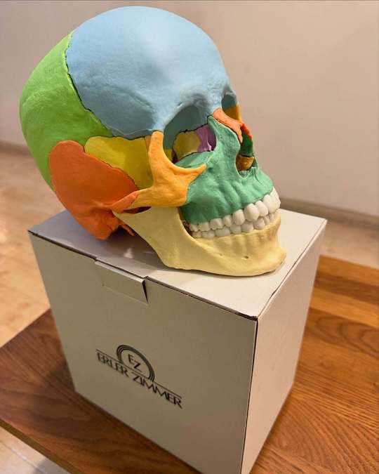 臨床カイロプラクティック　哲学・科学 ・芸術　■中古■ 臨床カイロプラクティック 哲学・科学・芸術