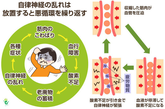 綱島で自律神経の乱れにお悩みなら｜整形外科10年勤務の院長が施術｜い