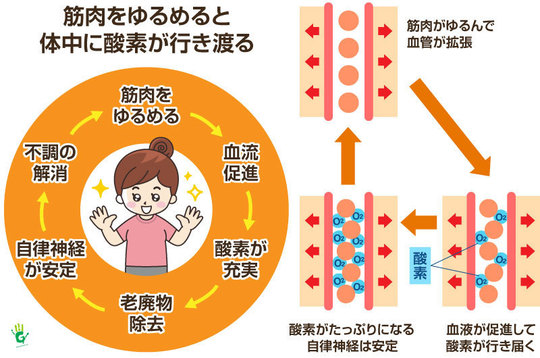 綱島で自律神経の乱れにお悩みなら｜整形外科10年勤務の院長が施術｜い